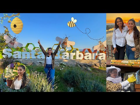 SANTA BÁRBARA 🇨🇱 La capital de la miel en Chile 🍯
