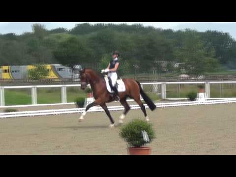 ROCCO GRANATA & Lena Stegemann - 1. Sichtung zur WM der Jungen Dressurpferde 2016