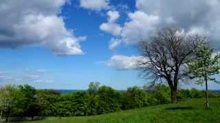 preview picture of video 'Edinburgh City / Skyline Time Lapse - Calton Hill & Playfair Steps'