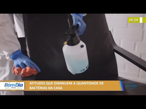 Atitudes que diminuem a quantidade de bactérias da casa 29 07 2021