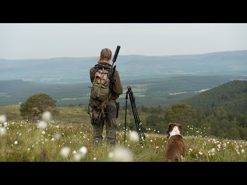 A Deer Stalker's Story