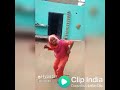 Long Elaichi Dance