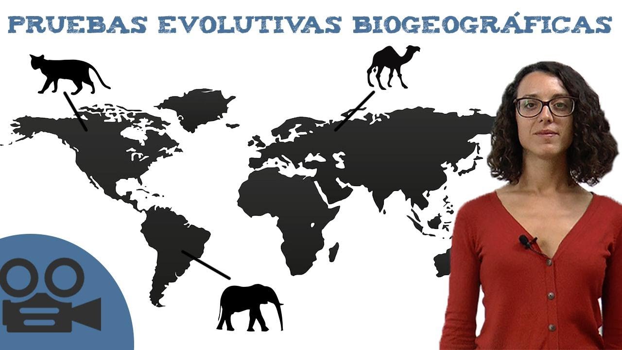Pruebas evolutivas biogeográficas
