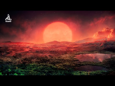 A Mysterious World of Teegarden b. The Most Earth-Like Planet