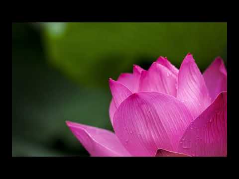 Devakant Blowing Zen (Oriental Wisdom II)