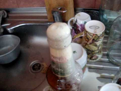 Crazy Beer (Trakais Aldara aliņš)