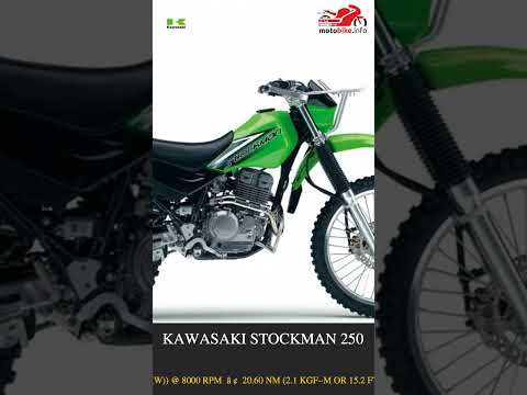 Kawasaki Stockman 250 - Video 1