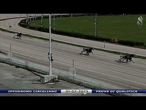 Aversa trotto 1 Febbraio 2023 - Prova di qualifica