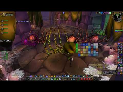 Naxxramas 40 Man PTR - Abaron - Resto Shaman