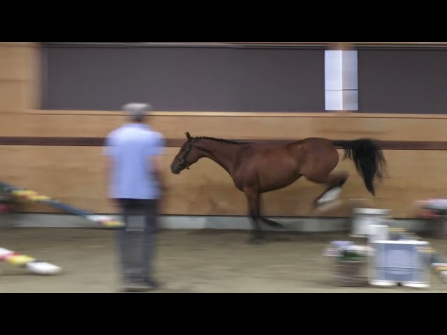 jumping