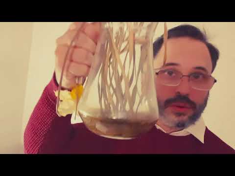 Gröna Söndag 1 - Bertil Svensson
(Immitationsutmaning, 1 vecka)