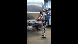 JAL pilots humanoid robots for airport operations