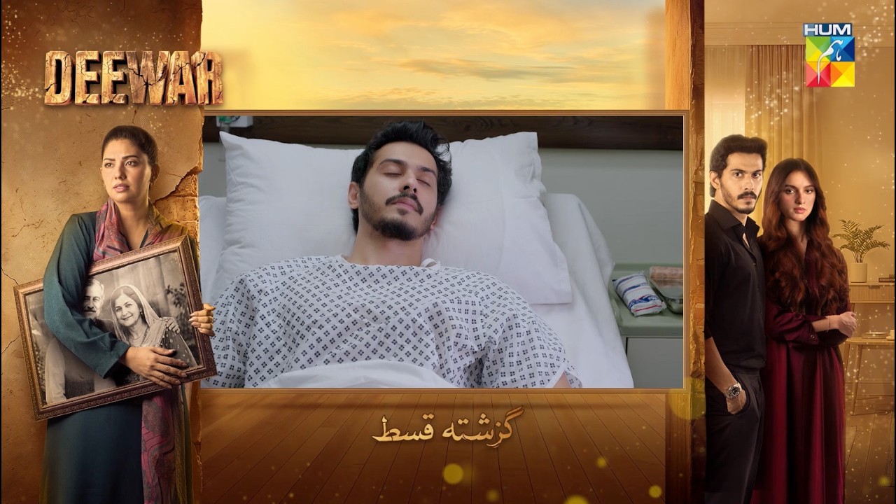 Deewar - Episode 65 Recap - [ Sunita Marshall & Ali Abbas ] HUM TV