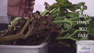 Asia Dawn Farmer Meet Highlights