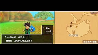 テリー3D  スカウト&レベル上げ禁止Boss以外01
