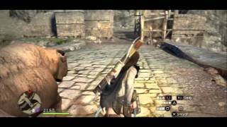 『プレイ動画』　ドラゴンズドグマ　１８　【二周目後篇】