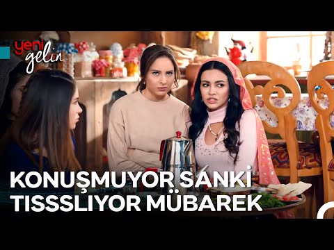 Bizim Ailede Huzur Var Huzur - Yeni Gelin