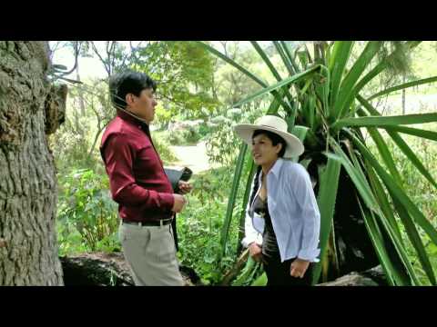 B T LOS DINAMICOS DEL AMOR ZARQUITA DE MI RECUERDO