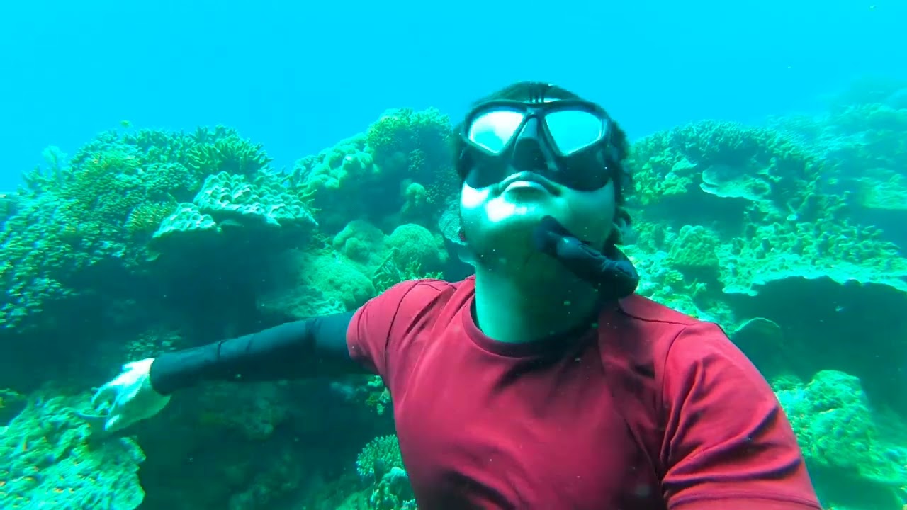 Dive into the breathaking paradise at Maite Marine Sanctuary.
