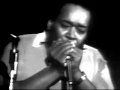 James Cotton - Blues In My Sleep
