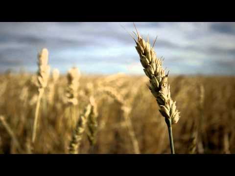 T-Phonic - Keep Moving