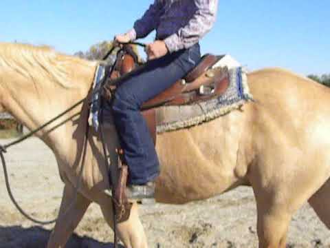 KT's Training Tips - Softness and Suppleness