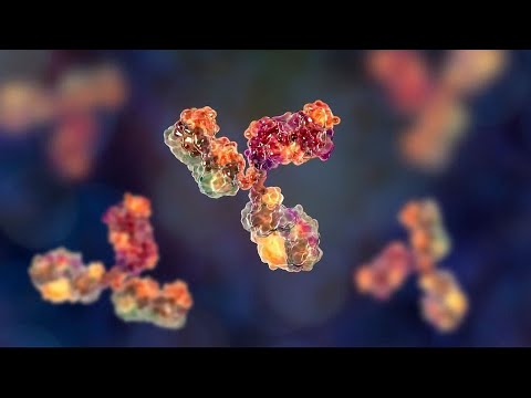 Introduction to Adaptive Immunity