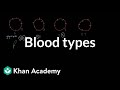 Blood types 