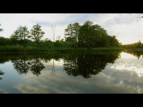 Lesung zu Trinitatis, Glaubensbekenntnis von Dietrich Bonhoeffer