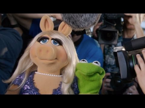 Kermit gets set up