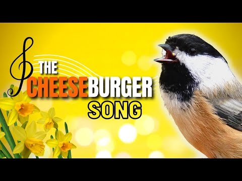 YouTube video about: What bird says cheeseburger?