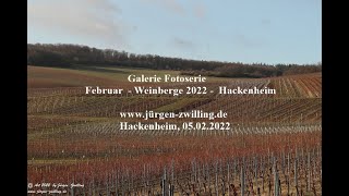 Galerie Fotoserie Februar Weinberge 2022 Hackenheim Rheinhessen