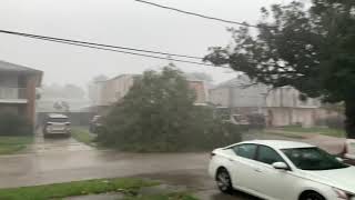 Hurricane Zeta Tree down!