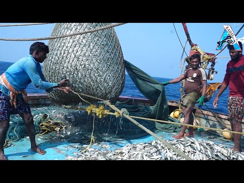 Amazing Automatic Longline Fishing Net Catch Giant Fish - Awesome big catching on the sea @FISH_TV