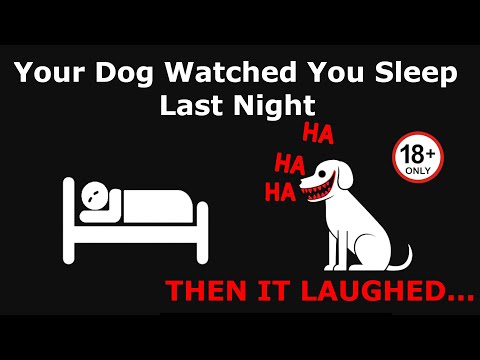 If Your Dog Starts Laughing… RUN - Analog Horror