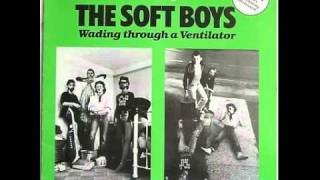 The Soft Boys - Wading Through a Ventilator