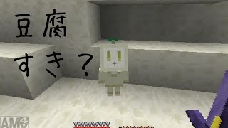 【マイクラpart21】トーフワールドへGO!【天髪らんち実況】