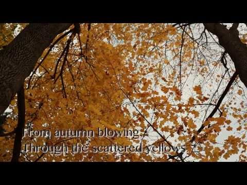 Persian Poem - Autumn پائیزی