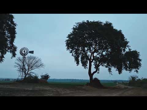 Paisaje en Colonia Ensayo, Entre Ríos, invierno de 2026