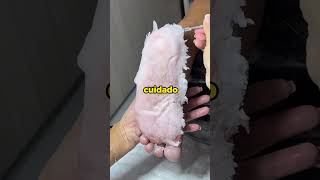 Fatos Curiosos 😰 #fatoscuriosos #curiosidades #conhecimento #viral #fyp