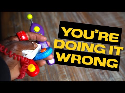 Learn CLICKER Training For DOGS - How To Get it Right 👍