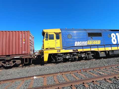 8244, 8140 & 8176 at Trangie NSW.  Wed 19th May 2021