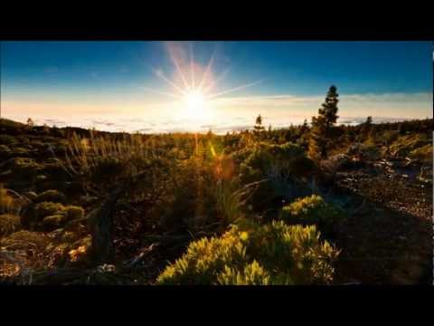 Mario Hammer featuring Asheni - Life Before The Earthquake (Dennis Sheperd Remix) (W/ Lyrics)