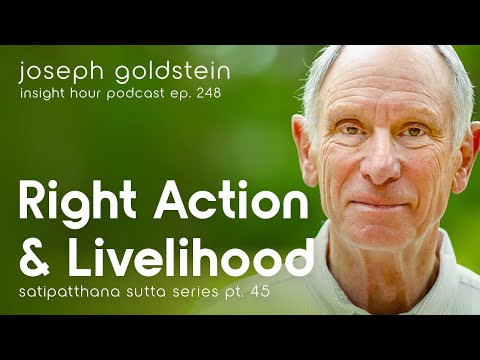 Joseph Goldstein on Right Action & Livelihood | Insight Hour Ep.248–Satipatthana Sutta Series Pt.45