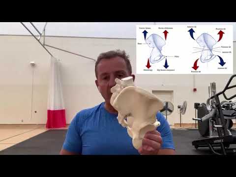 Kinesiological Concepts: Force Couples #1