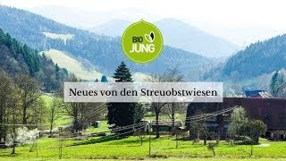 preview picture of video 'Bio Jung: Neues von den Streuobstwiesen. So beschneiden wir unsere jungen Obstbäume.'