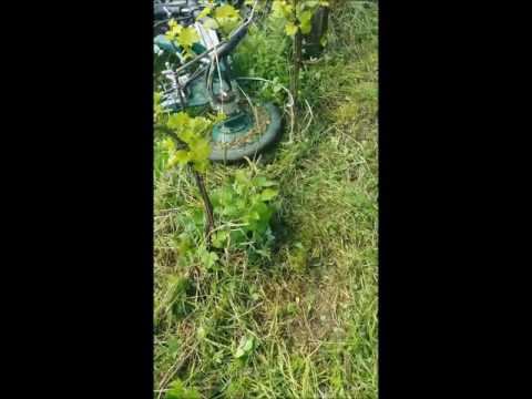 Rasaerba interfilare Mansoldo