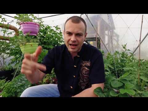 Podróż do wnętrza siebie - Kocur Nds prod. Gober