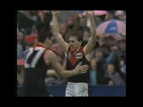 1988 VFL Preliminary Final - Melbourne v Carlton - All Melbourne Goals