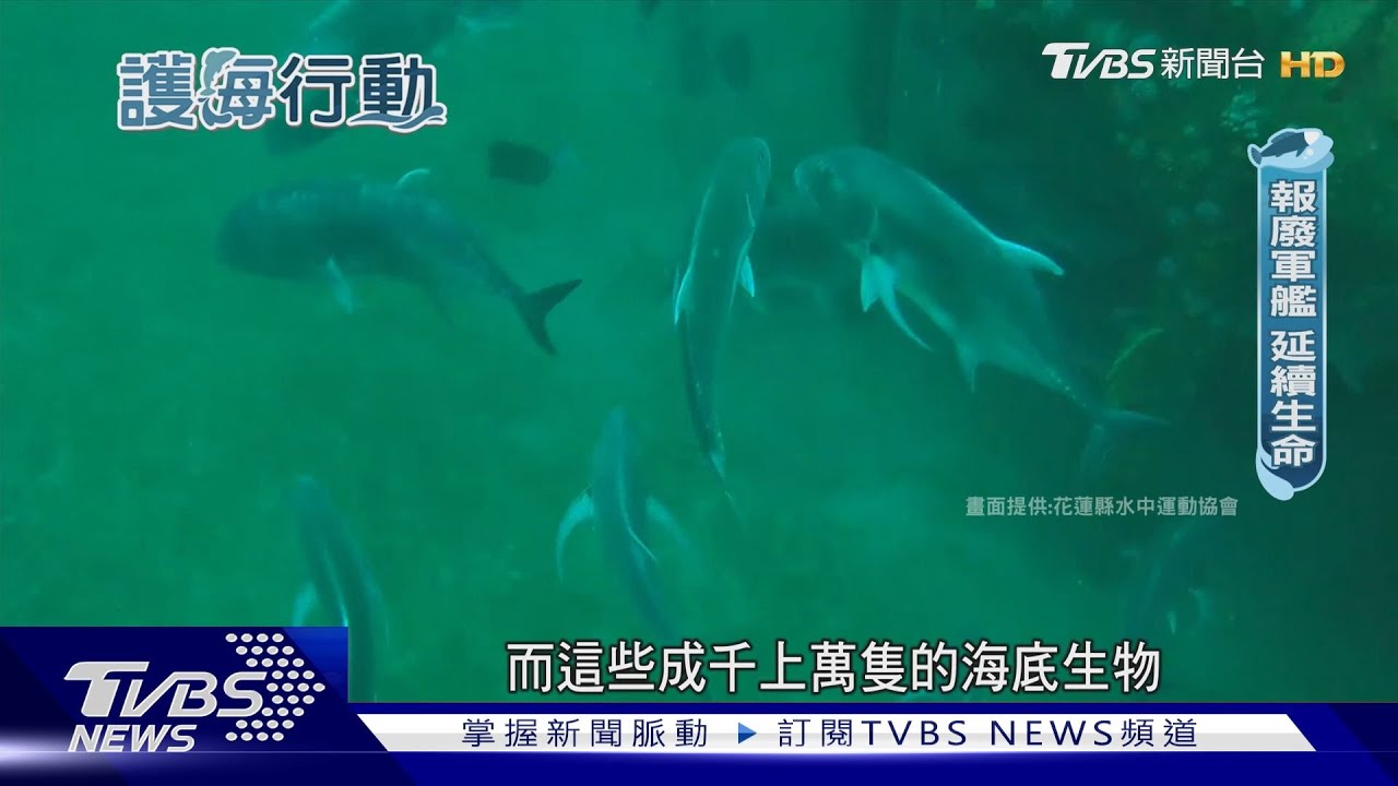 廢棄建材再利用! 「人工魚礁」真實身分還有這些